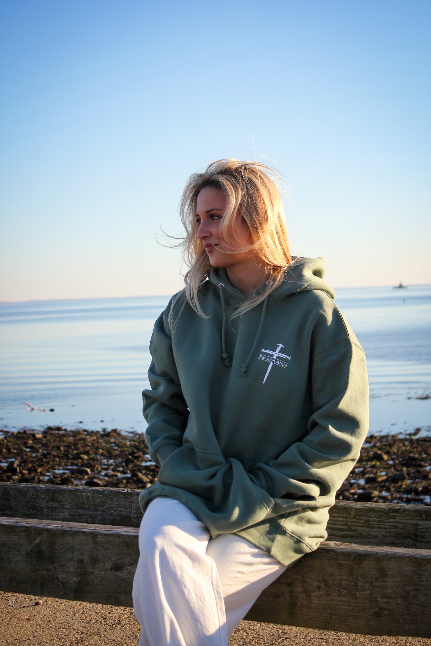 Iron Sharpens Iron Hoodie