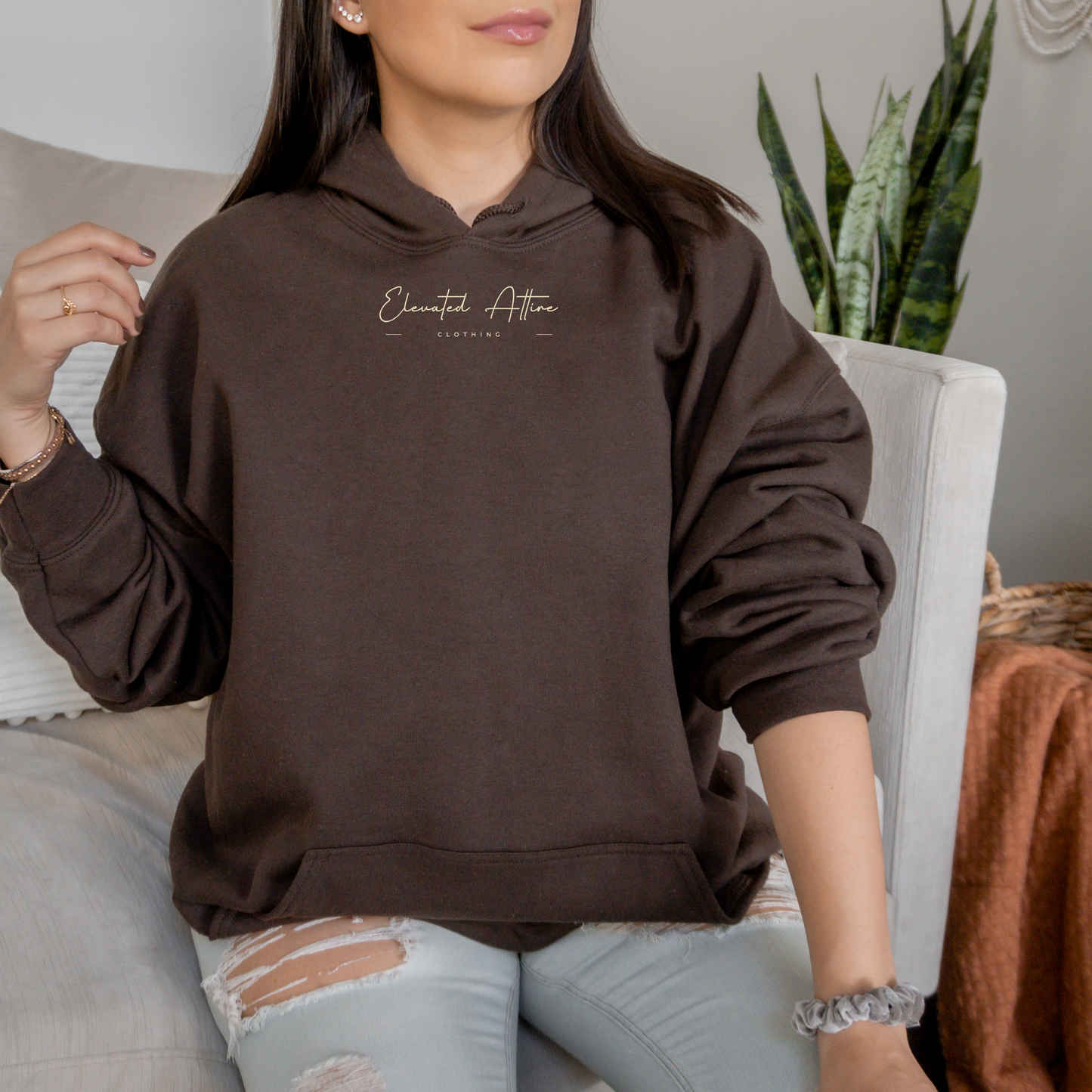 Philippians 4:13 Hoodie